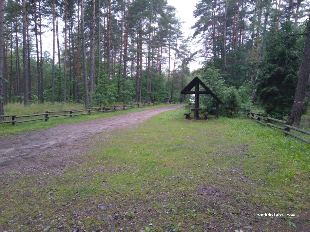 (89-650) Wrzosowa - Wrzosowa — foto