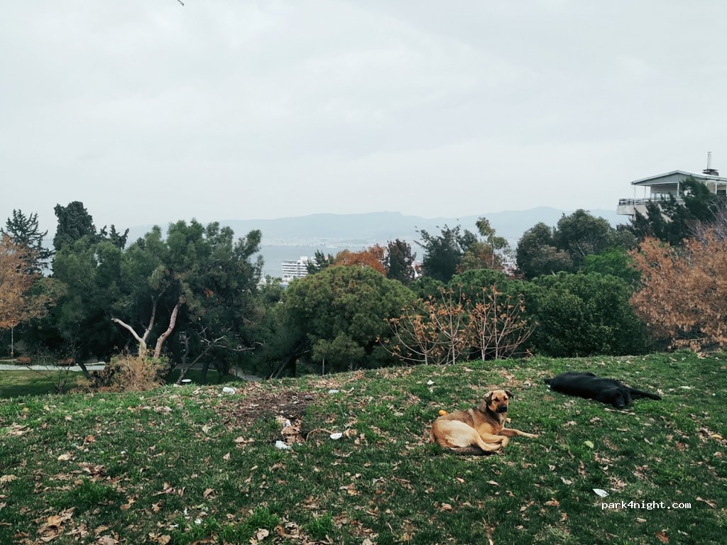(35260)  - 240 Eşrefpaşa Caddesi — foto 3