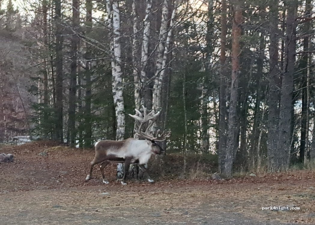 (790 91)  - Byvägen — foto 5