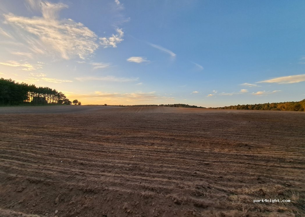 (66-305) Wysoka - — foto 3