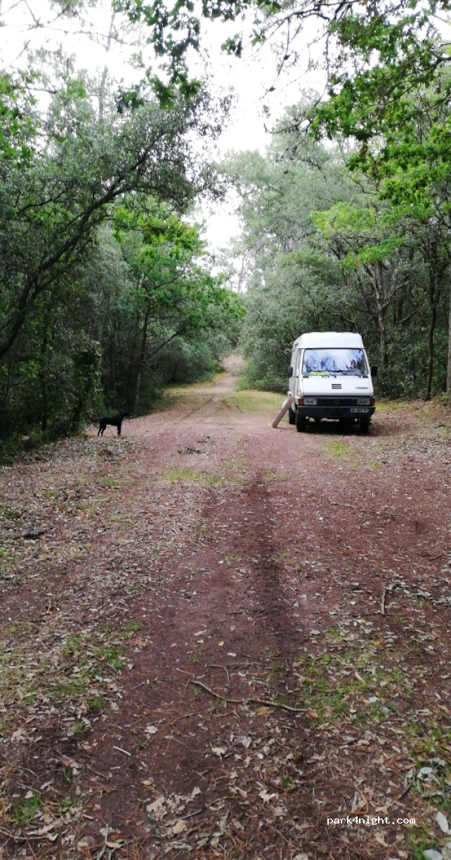 (85560) Longeville-sur-Mer - Chemin des Pairs — foto
