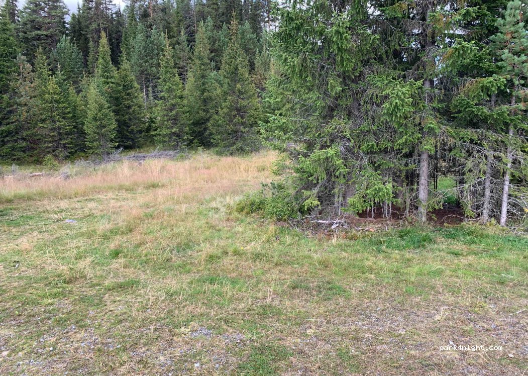 (2910) - Primær Fylkesveg 51 — foto 2