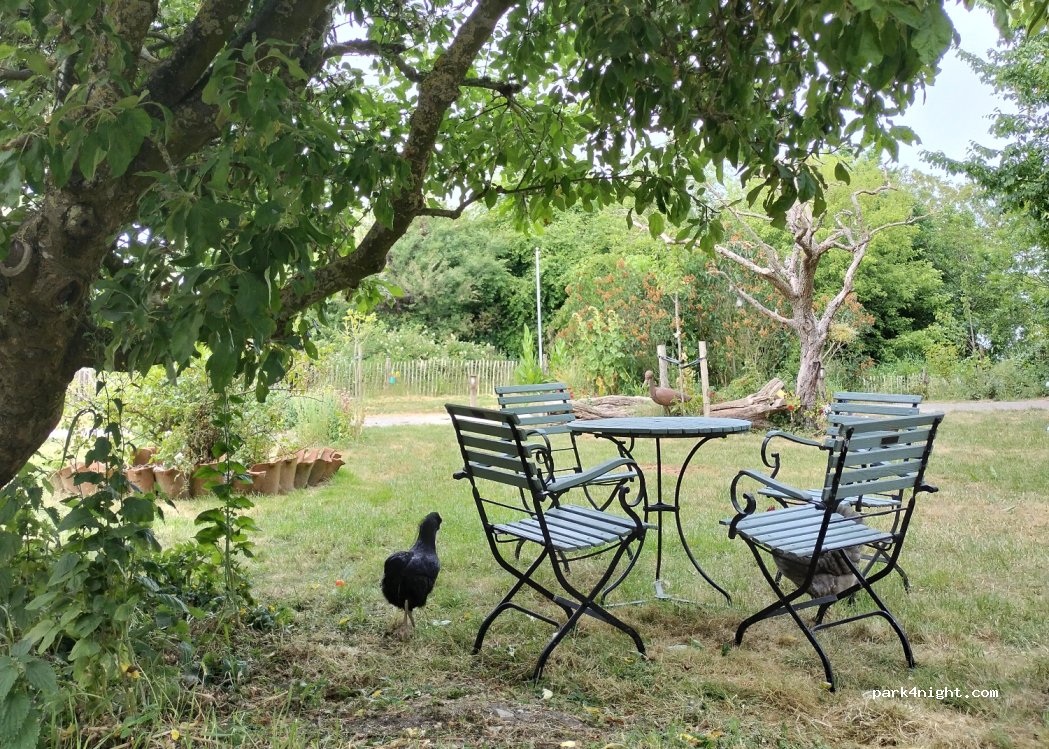 Stadsboerderij De Sibbe Sneek — foto 3