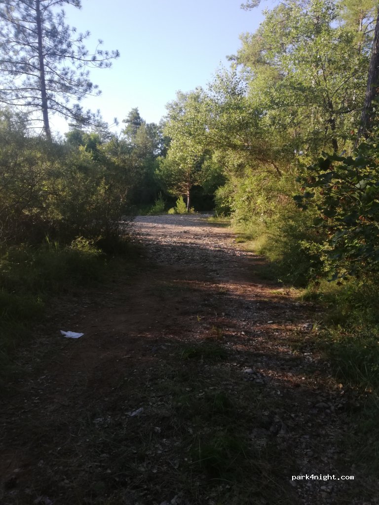 (25289) Castellar de la Ribera - C-26 — foto 2