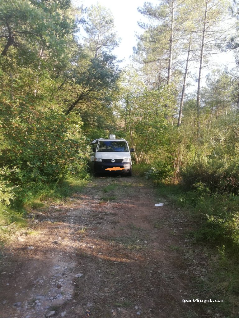 (25289) Castellar de la Ribera - C-26 — foto 3