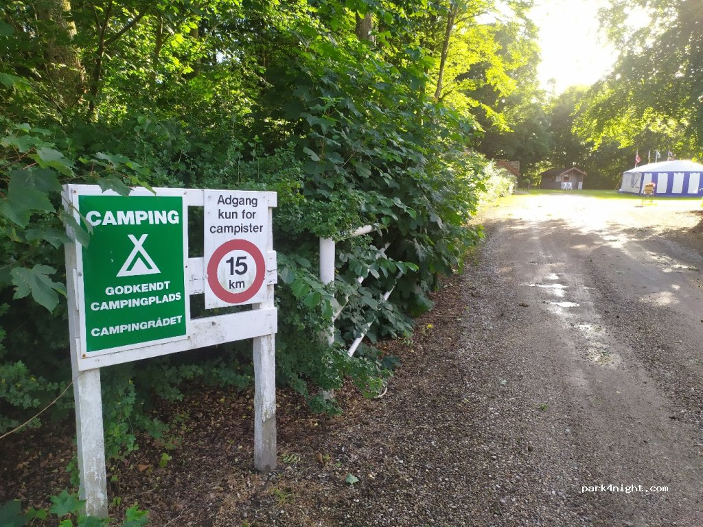 Aalestrup Campingplads — foto 2