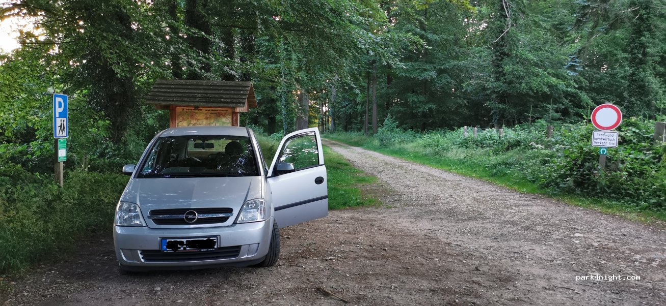 (21502) Hamwarde - Forstweg — foto