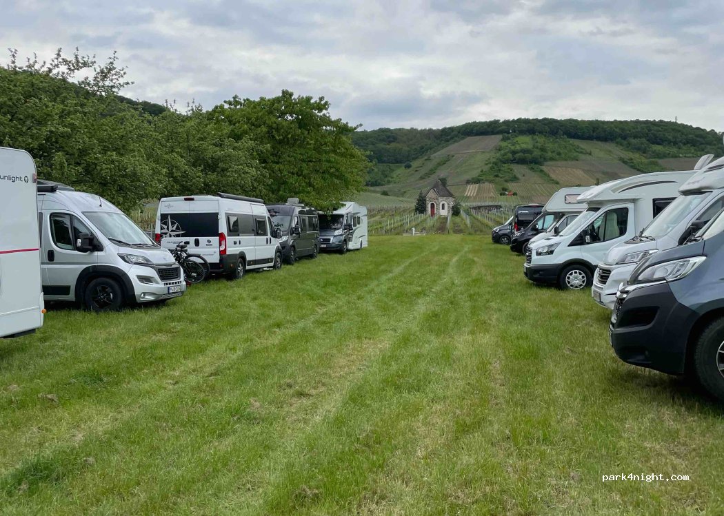 (56821) Ellenz-Poltersdorf - 29 Goldbäumchenstraße — foto 3