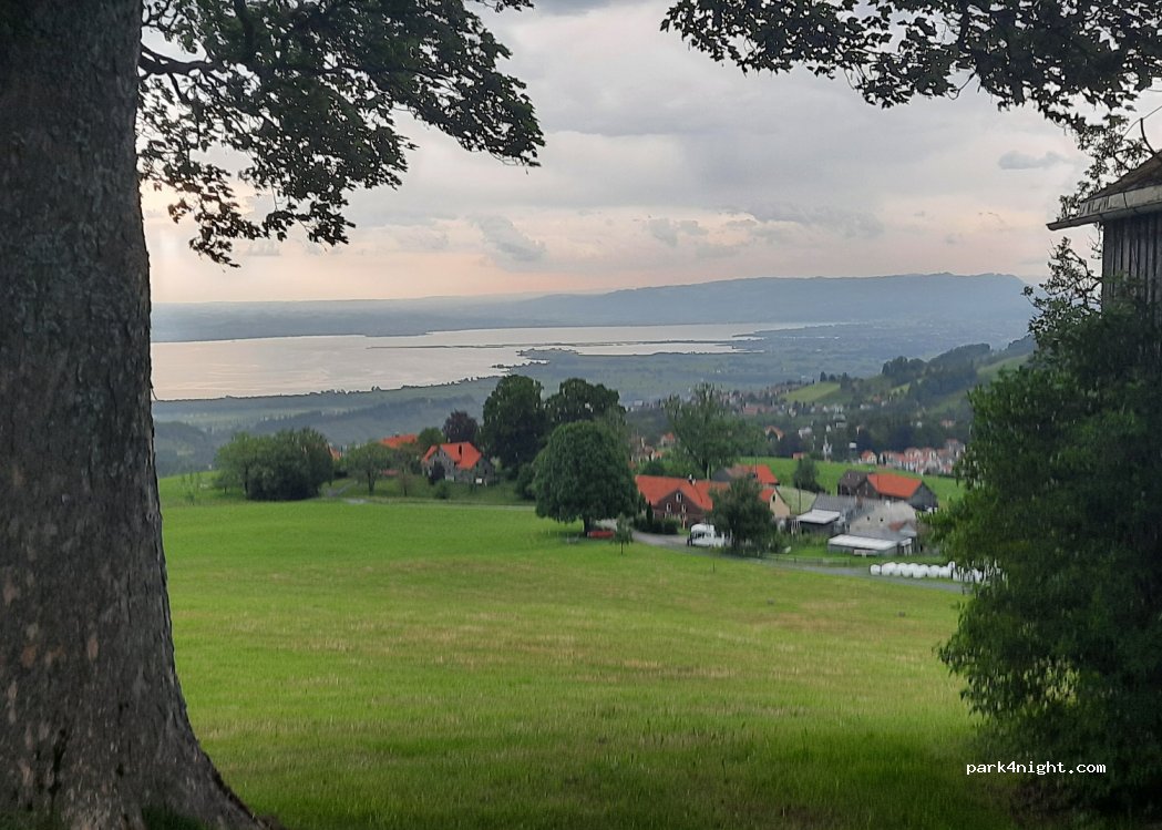 Zur Grossen Linde — foto 4