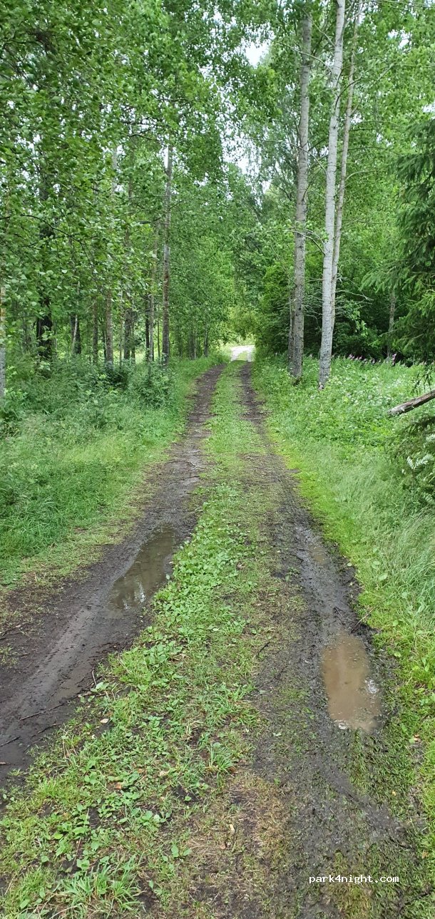 (813 91)  - Unnamed Road — foto 2