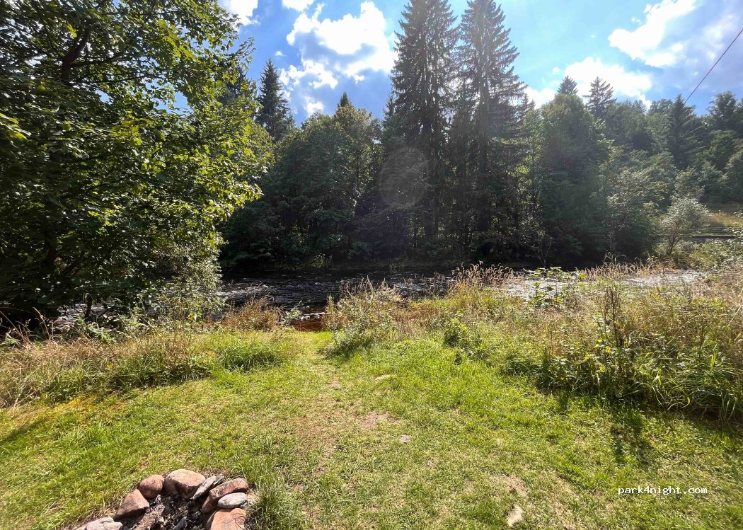 Camping du parc Annin tree — foto 3