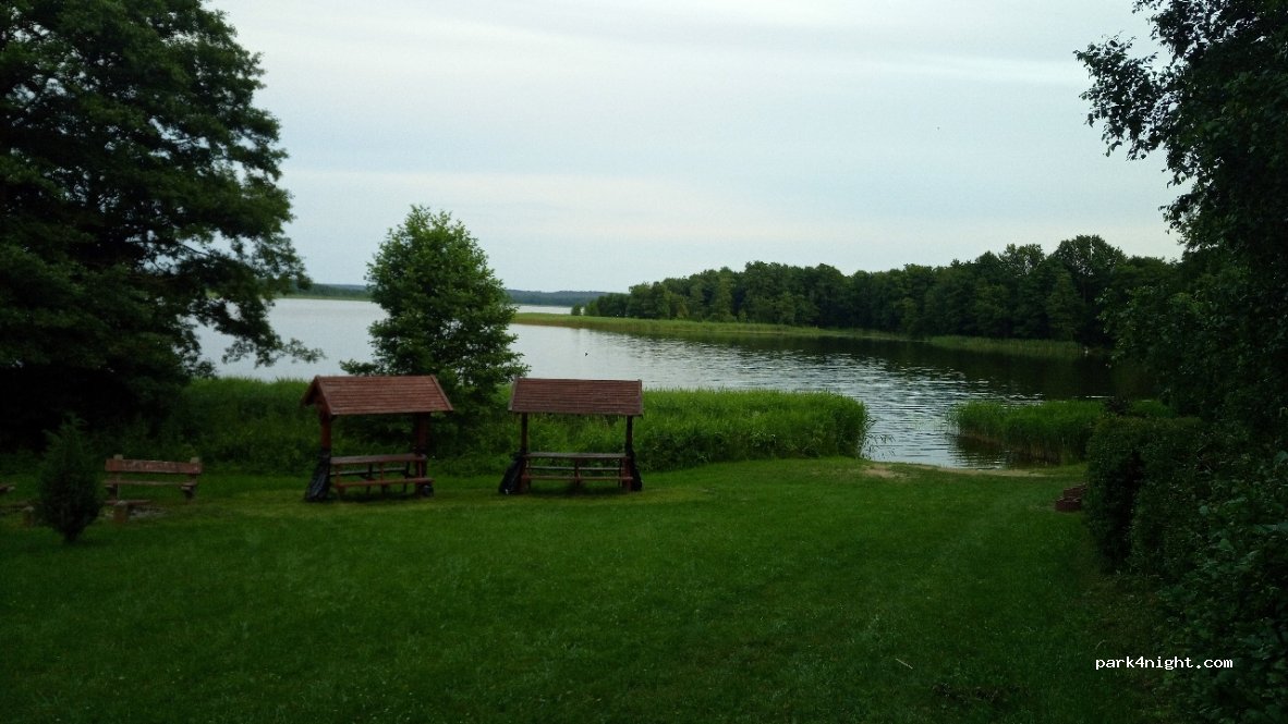 (11-600) Stręgiel - — foto 2