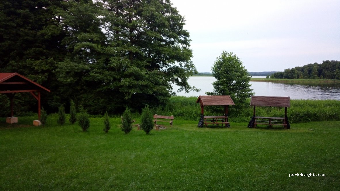 (11-600) Stręgiel - — foto 3