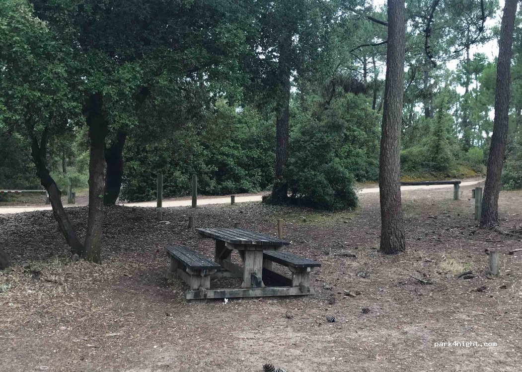 (85690) Notre-Dame-de-Monts - Chemin de la Parée Grollier — foto