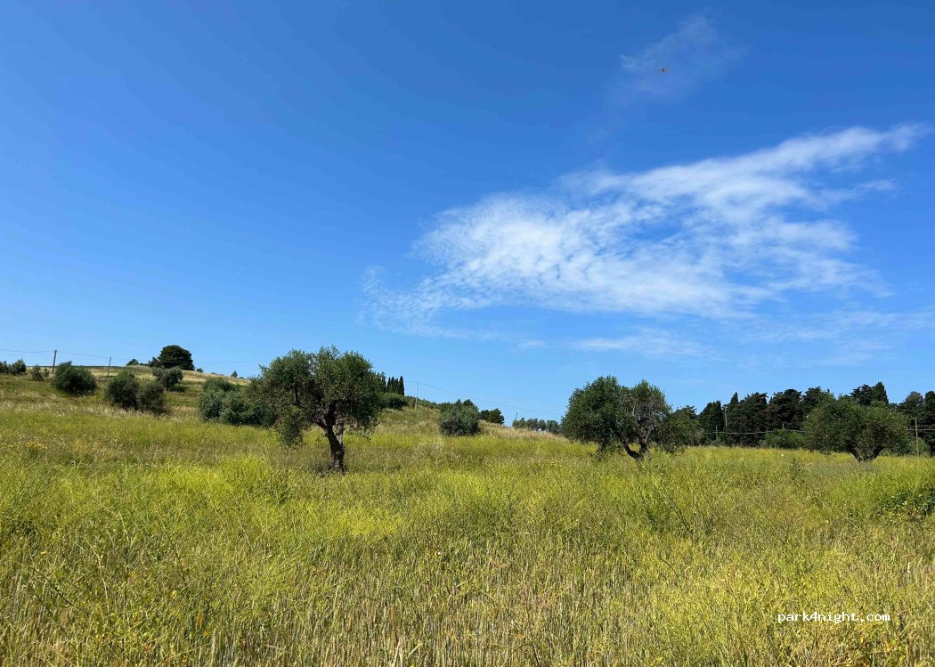 Agricampeggio Sant'Ignazio | Agricampeggio Baratti, Vicino al mare Golfo di Baratti in Toscana — foto 2