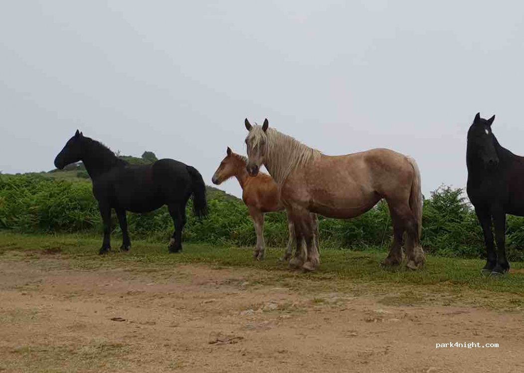 (09400) Arignac - Le Pech — foto