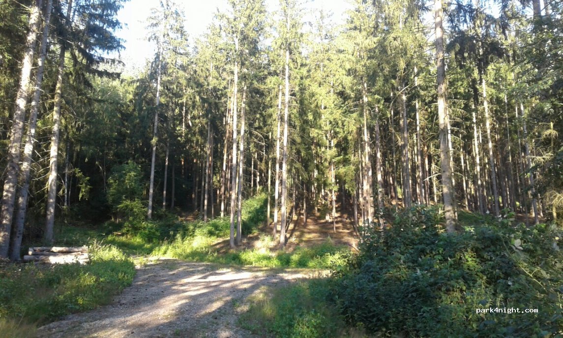 (07338) Hohenwarte - Unnamed Road — foto