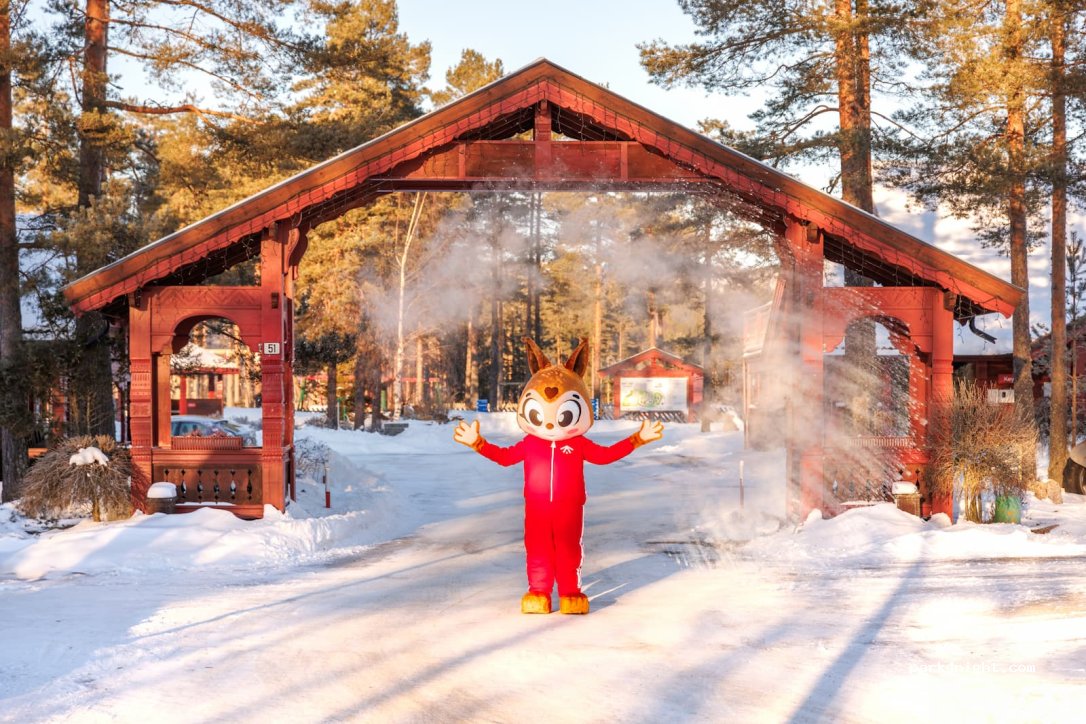 First Camp Bø – Telemark — foto 5