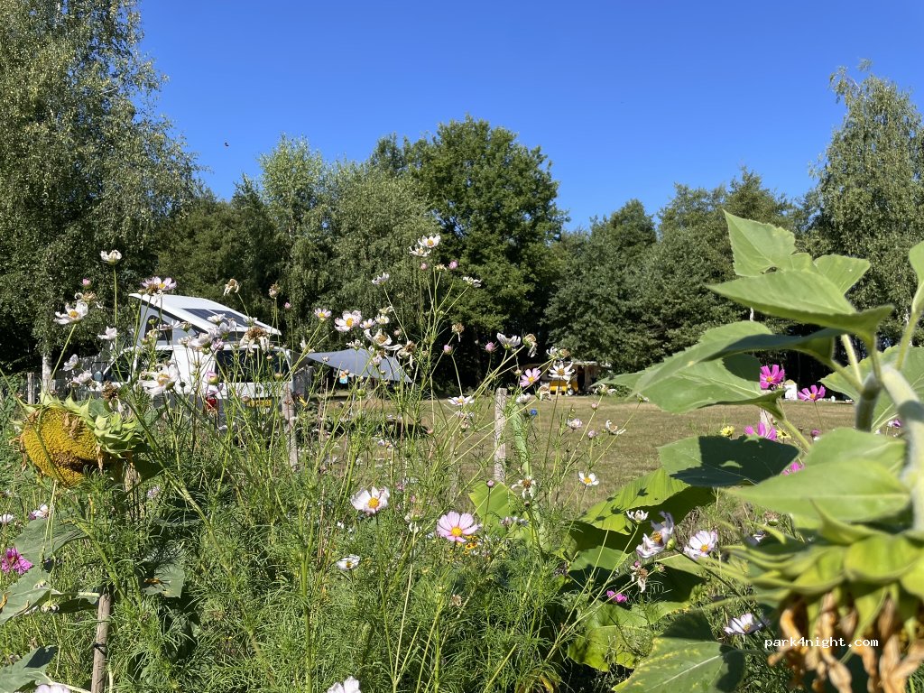 Camping Les Arbois — foto 5