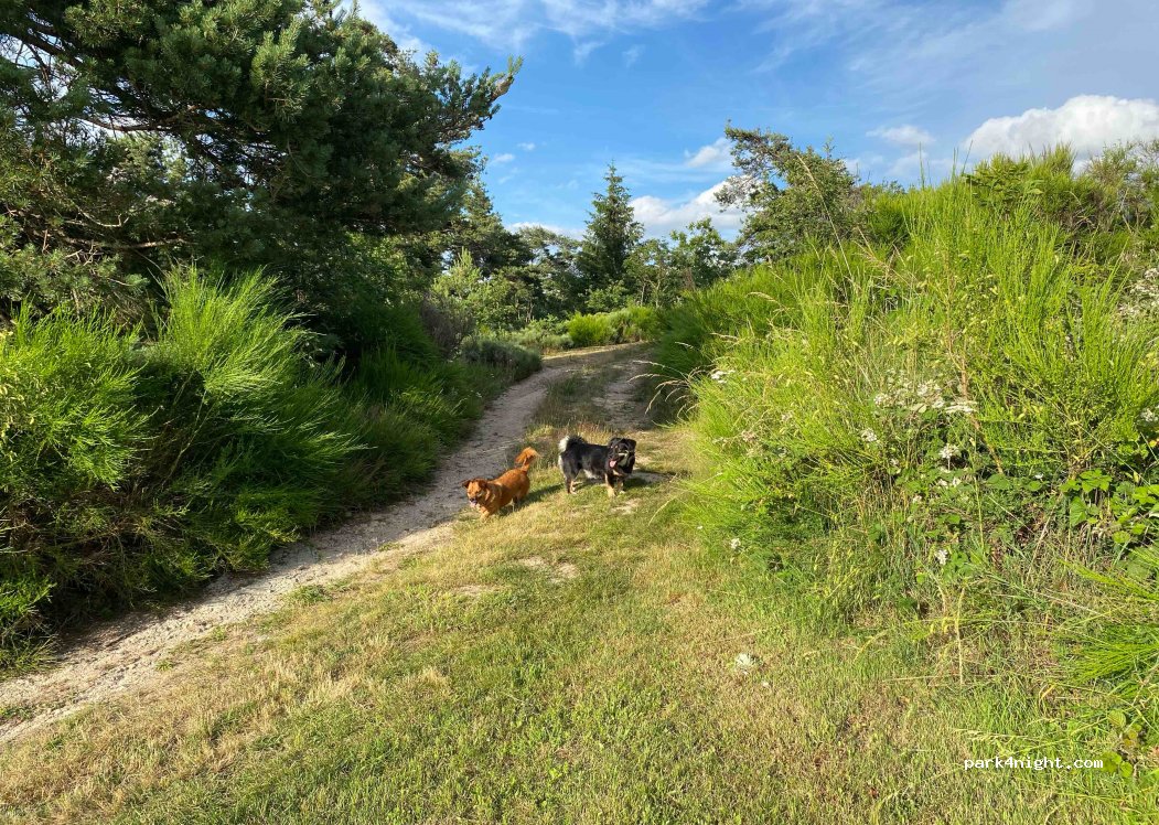 Camping Biesse — foto 3