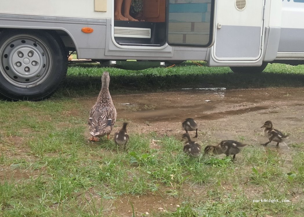 Camping Europa — foto 4