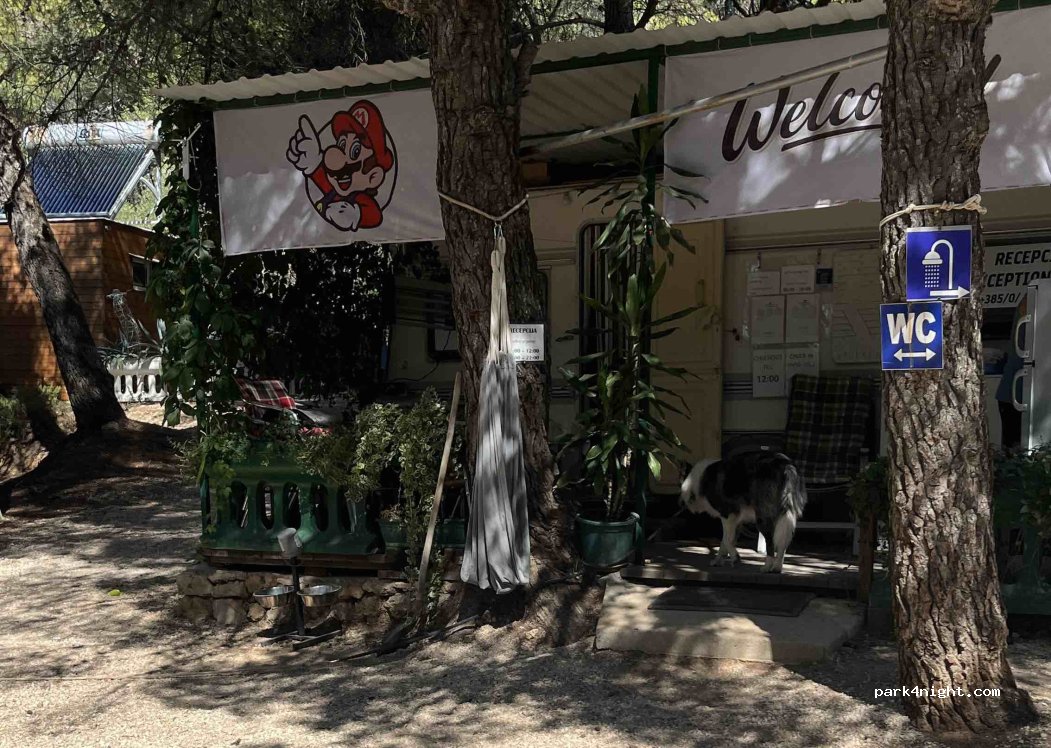 Campsite No1 — foto 5