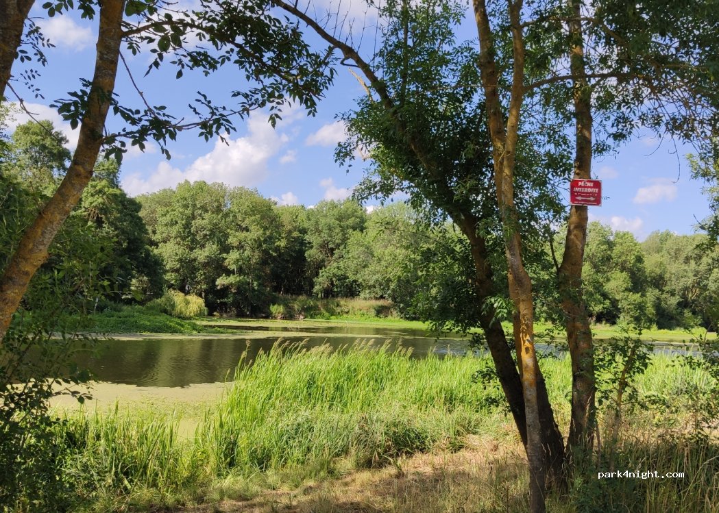 (49260) Saint-Just-sur-Dive - 1 Voie Communale Gastines — foto