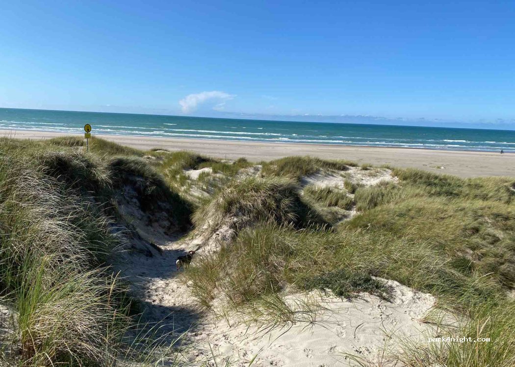 Rødhus Klit Camping — foto 3
