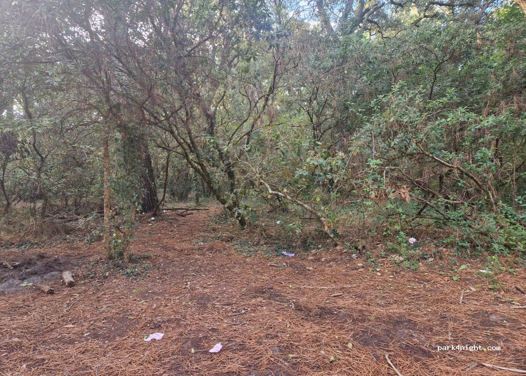 (40130) Capbreton - 1726 Marais de la Pointe — foto 2