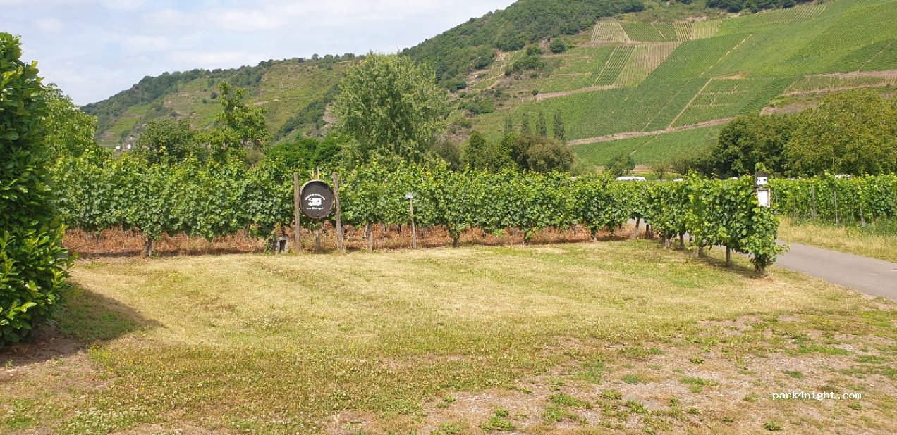 Weingut Walter Britz — foto