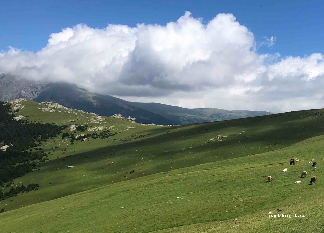 (17534) Queralbs - Carretera de Fontalba — foto