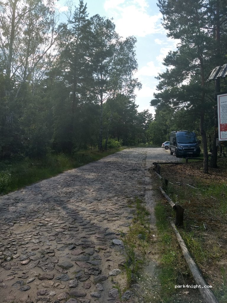 (05-152) Palmiry - 29 Podleśna — foto