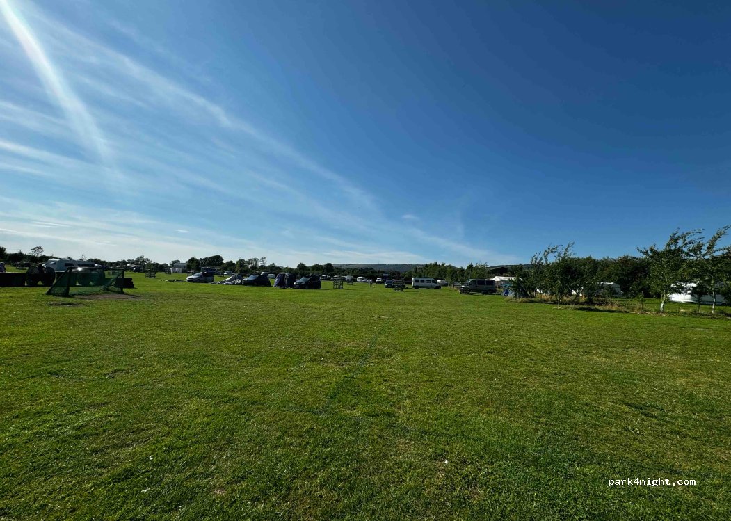 Petruth Paddocks camping — foto 2
