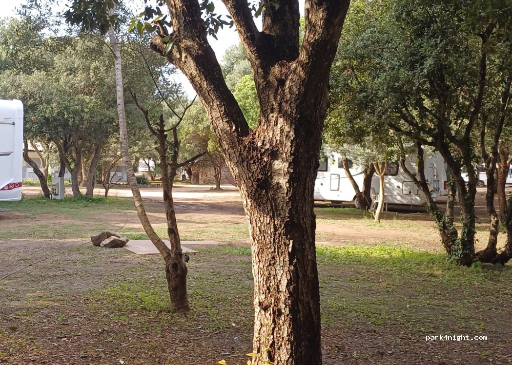 Camping Cavallo Morto — foto 3