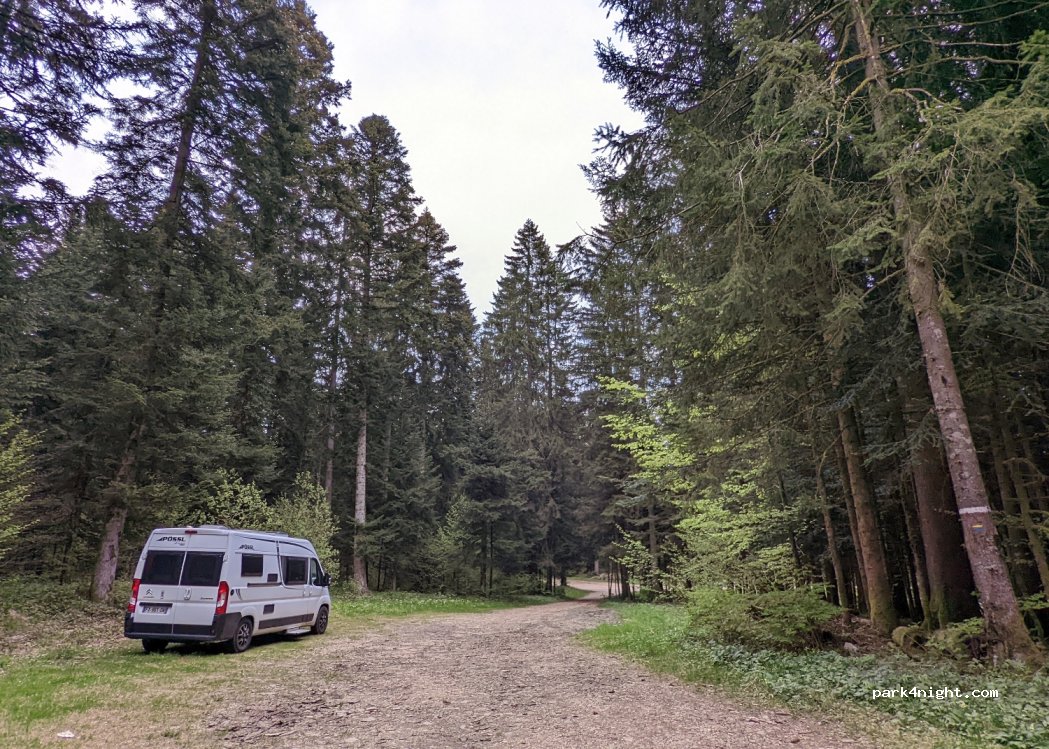 (25300) Pontarlier - Théatre Forestiere — foto