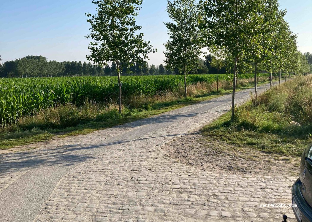 (9800) Deinze - 1 Maaigemdijk — foto 4