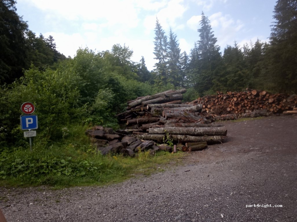 (3752) Wimmis - Alpbachweide — foto
