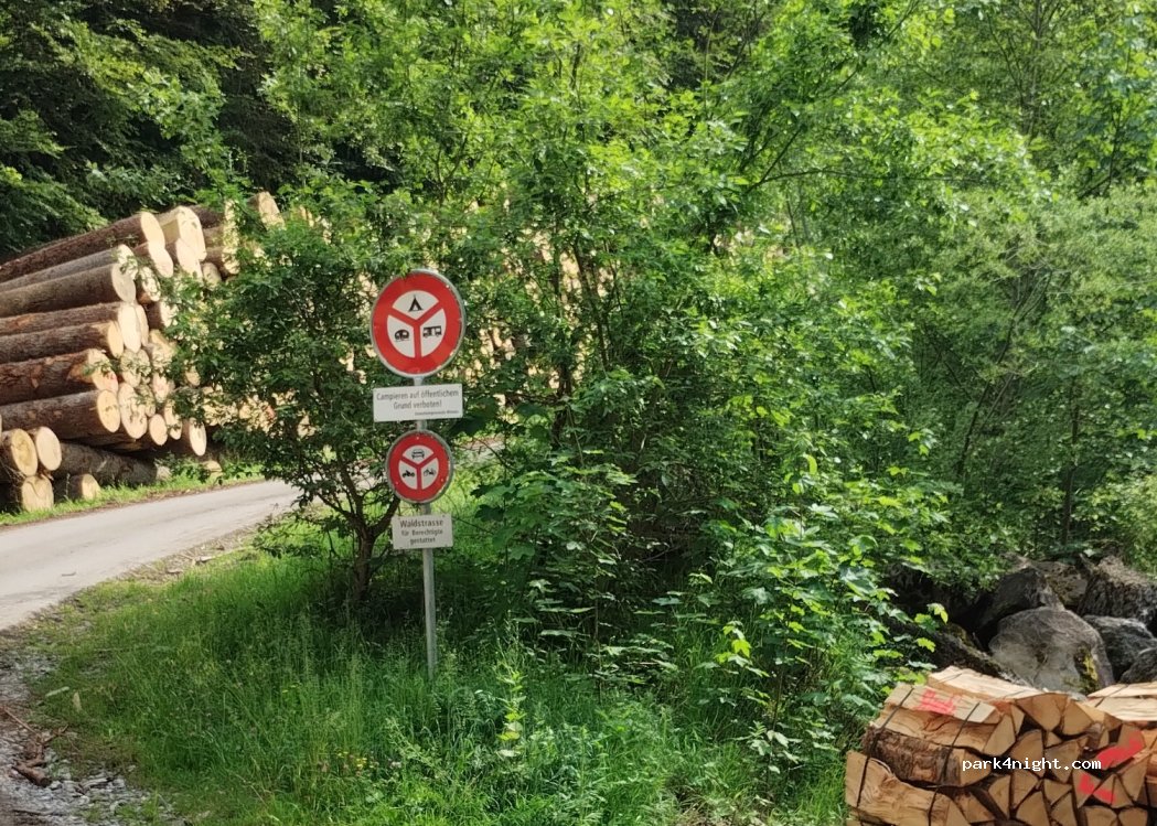 (3752) Wimmis - Alpbachweide — foto 3