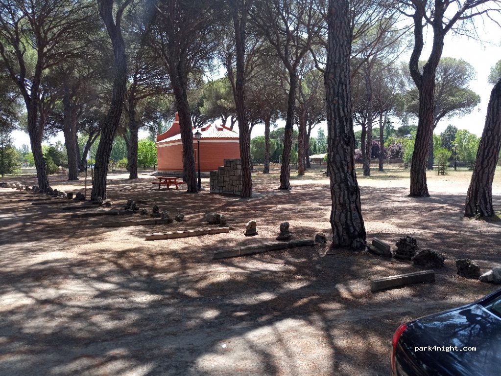 (47420) Íscar - 117 Carretera Íscar-Cuéllar — foto 3