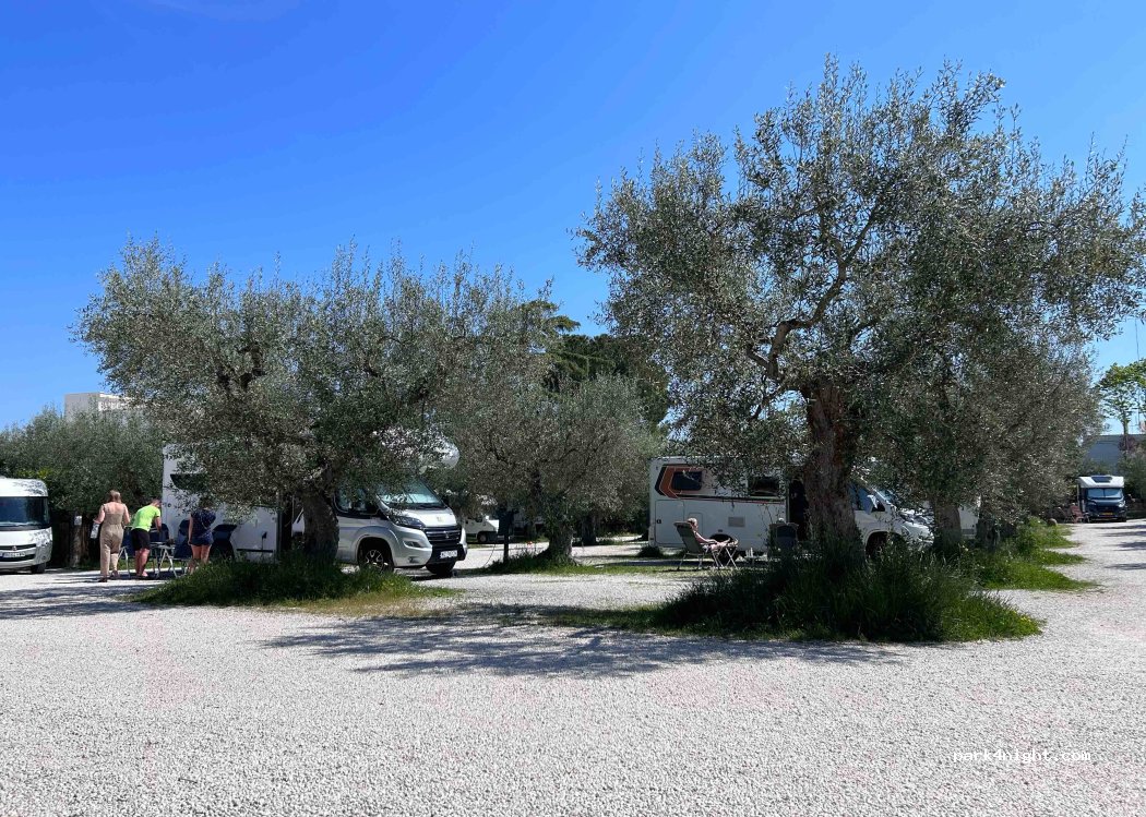 Camper Service Nel Verde — foto 3