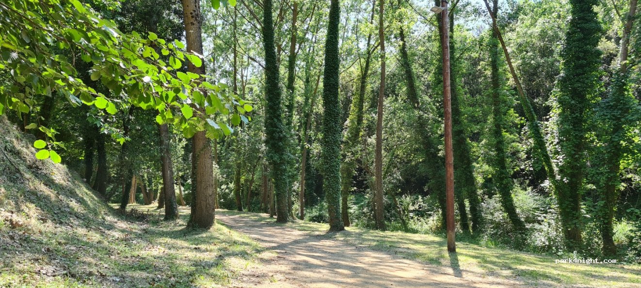 (08318) Dosrius - Camí del Pou de Glaç — foto 2