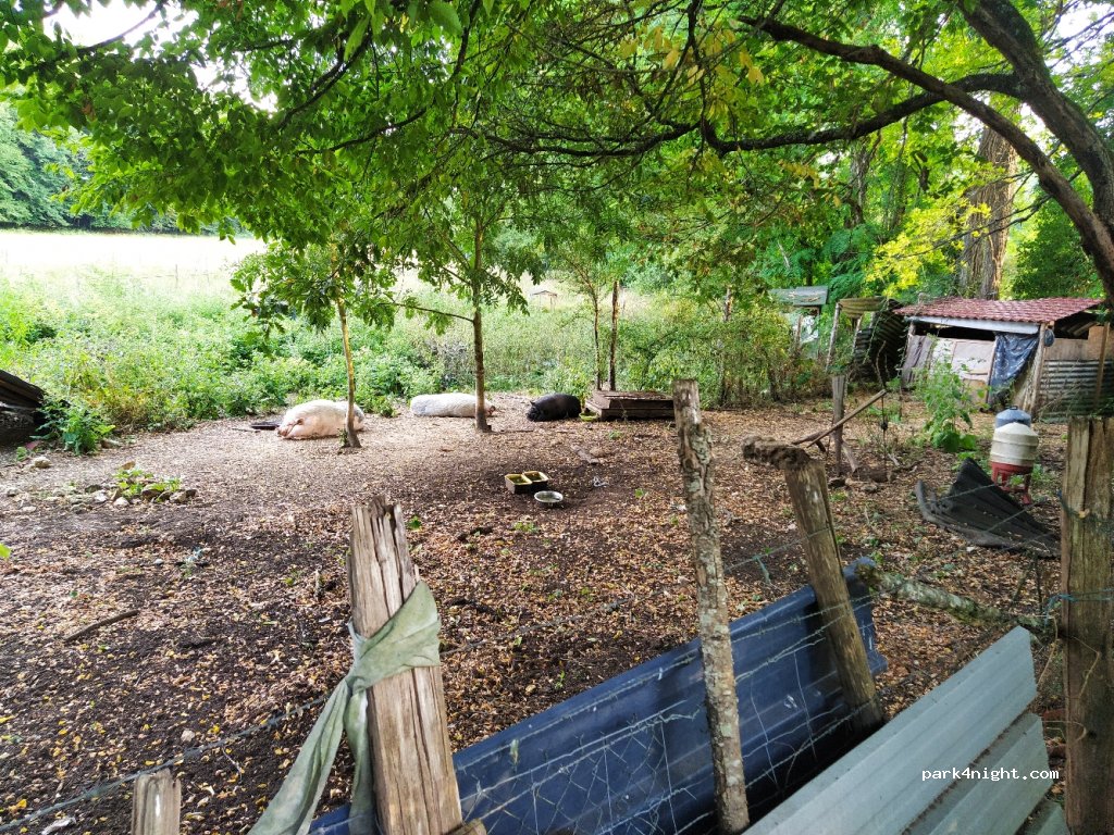 (24580) Plazac - D6 — foto 2