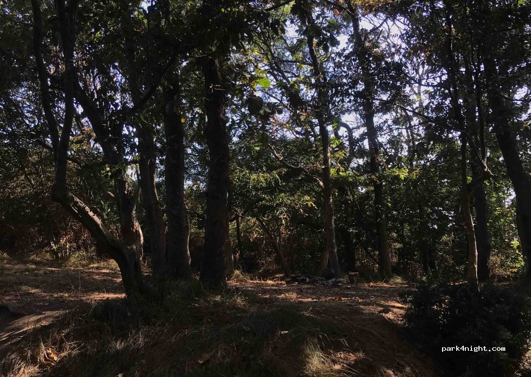(8278)  - Unnamed Road — foto 2