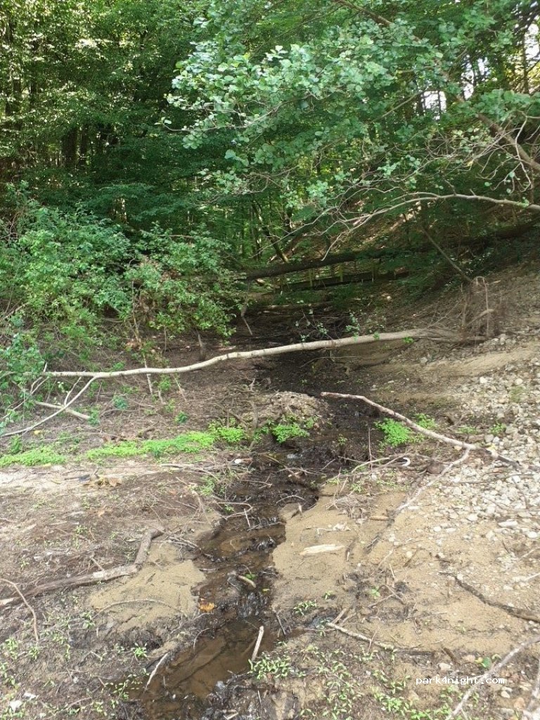(15270) Lanobre - Unnamed Road — foto 2