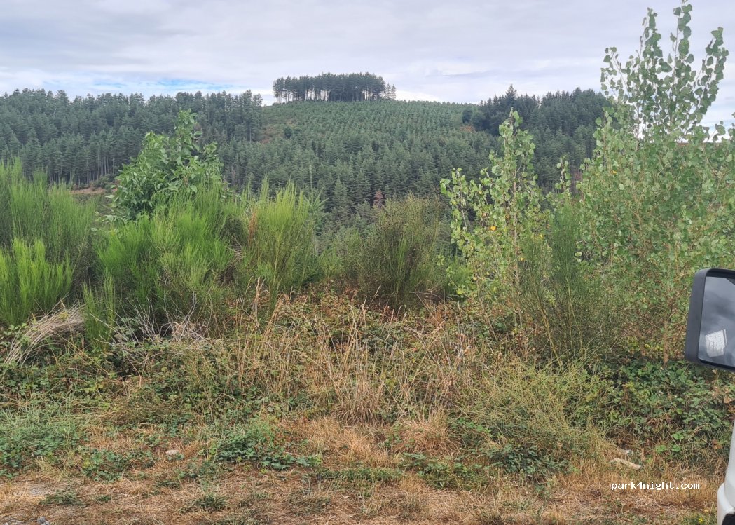 (81250) Miolles - Cazourgue — foto 3