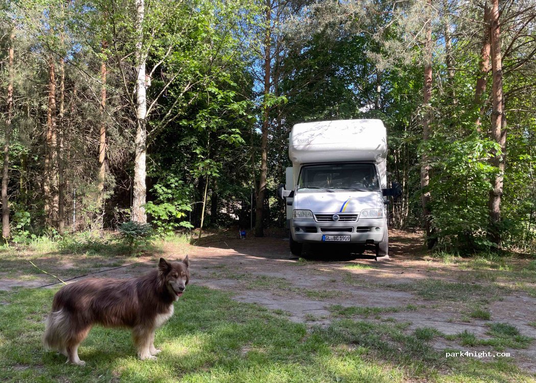 Camping Family Pole Namiotowe Kajaki - Łęknica — foto