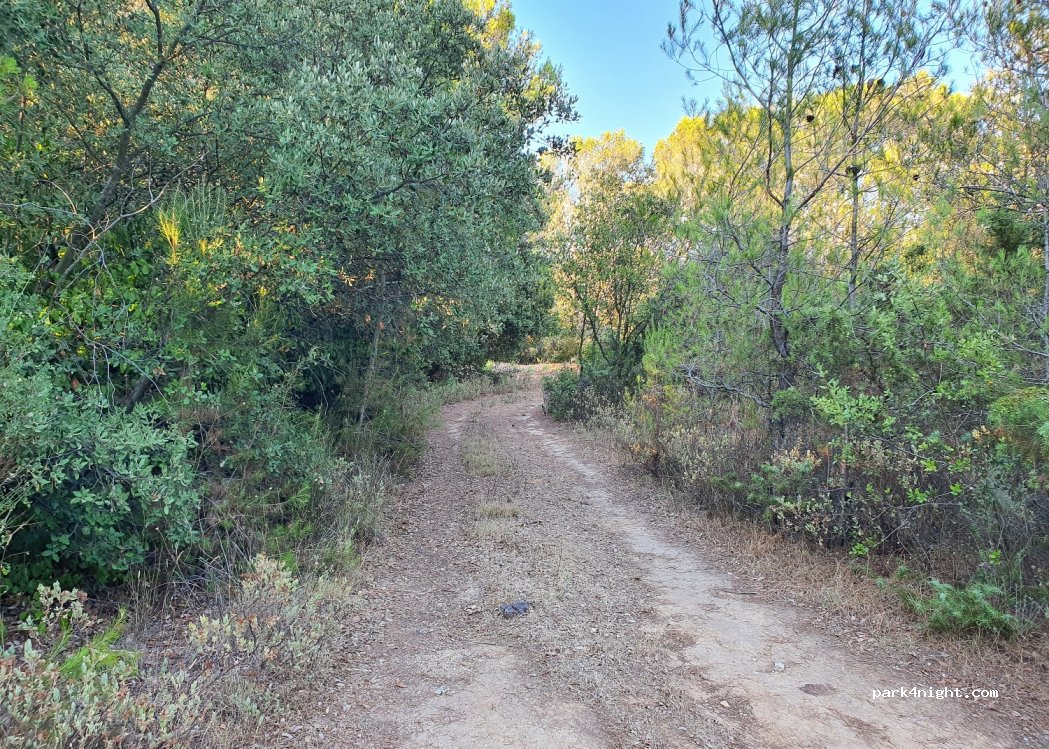 (30210) Cabrières - Route de Collias — foto 3