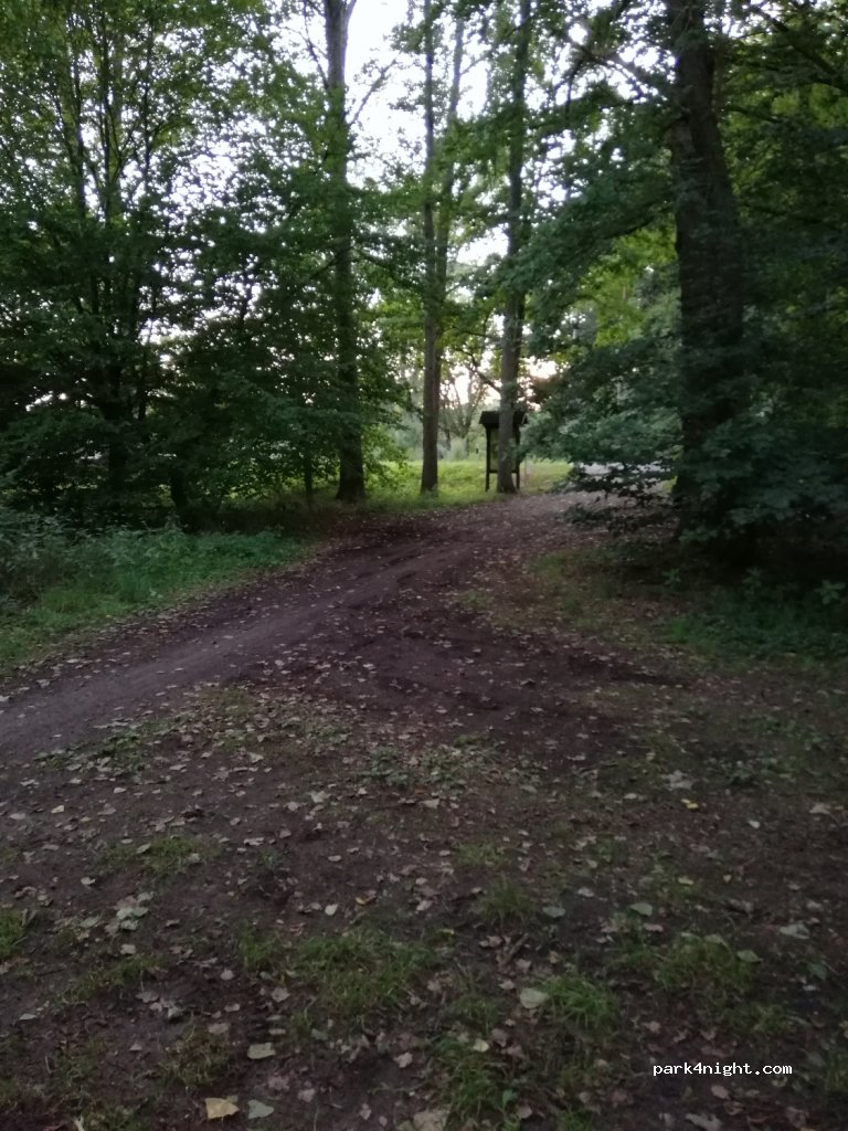 (27419) Groß Meckelsen - 1 Volkenser Weg — foto