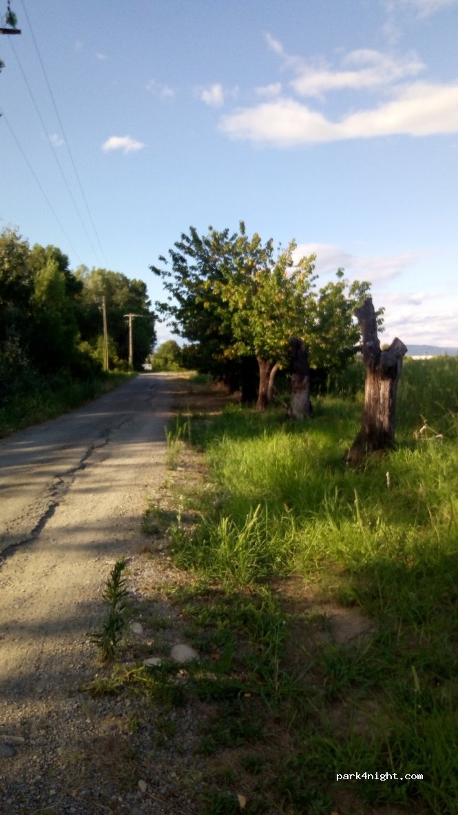 (07200) Saint-Maurice-d'Ardèche - Les Plots — foto