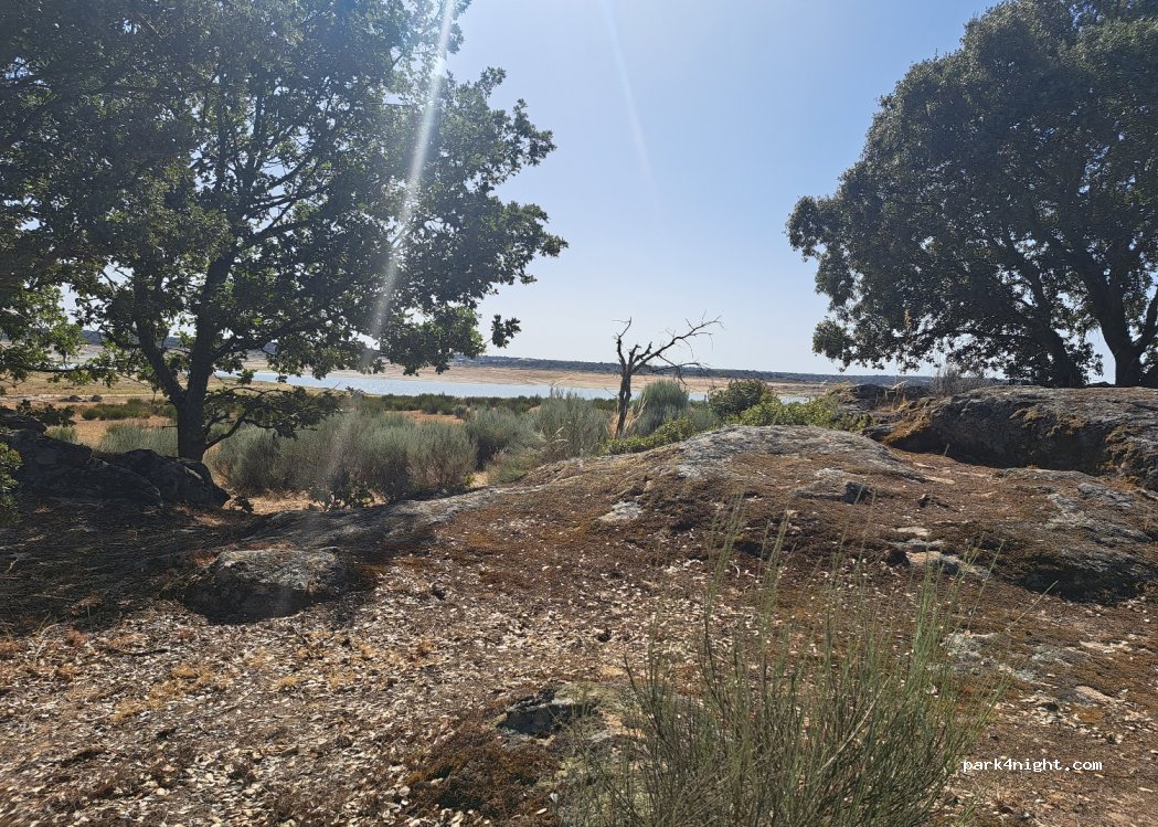 (37176) Almendra - Unnamed Road — foto 3